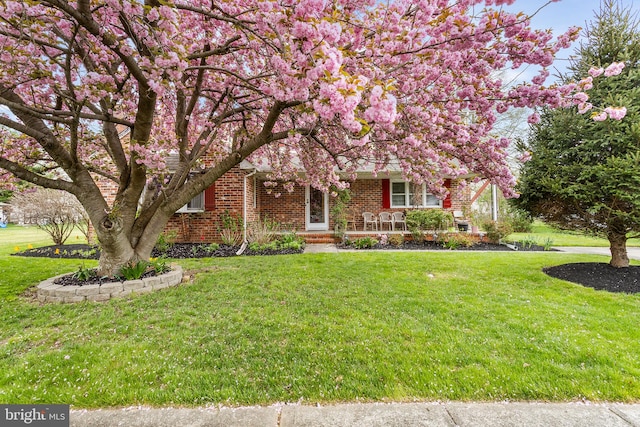 view of front of property with a front yard