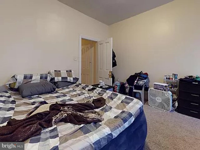 bedroom featuring carpet flooring