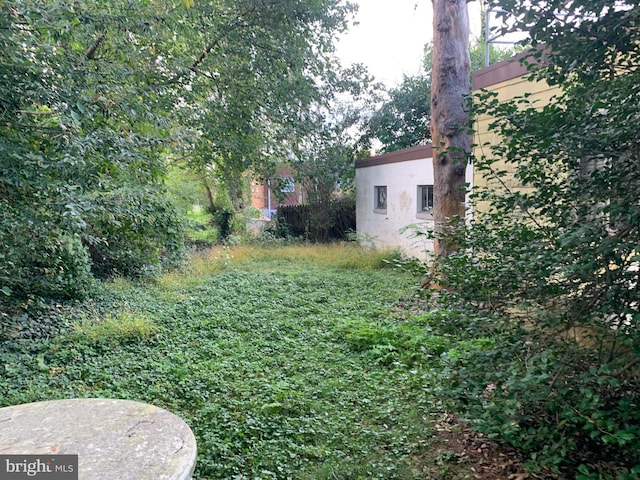 view of yard