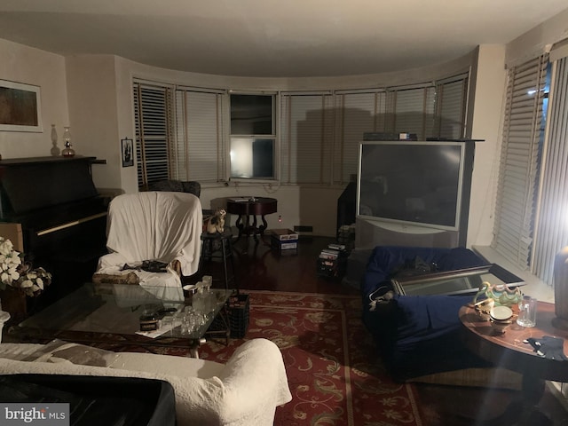 living room with wood-type flooring