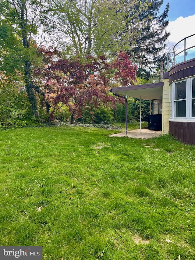 view of yard featuring a carport