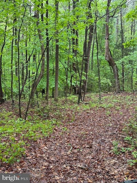 Listing photo 2 for LOT36 Knights Landing Dr, Heathsville VA 22473