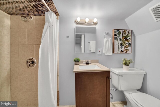 bathroom featuring toilet, vanity, and lofted ceiling