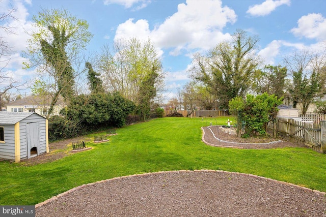 view of yard featuring a storage shed