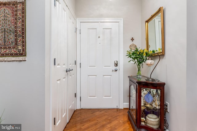 doorway with wood-type flooring