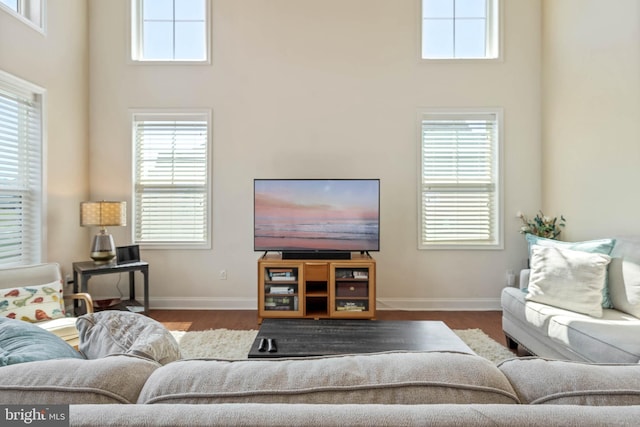 living room with hardwood / wood-style floors, a high ceiling, and a wealth of natural light