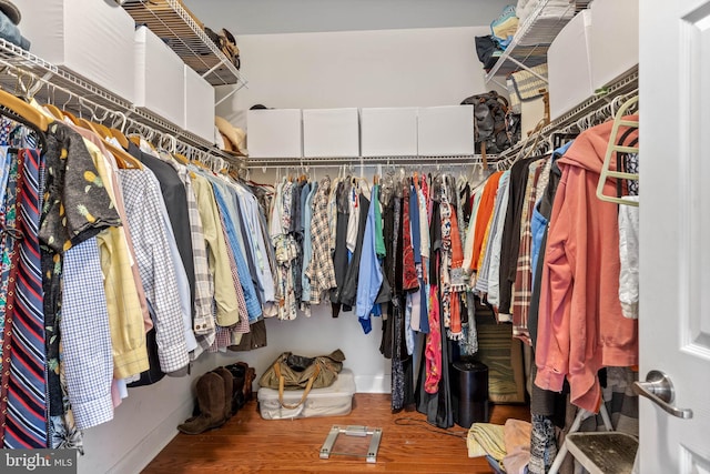 walk in closet with wood-type flooring