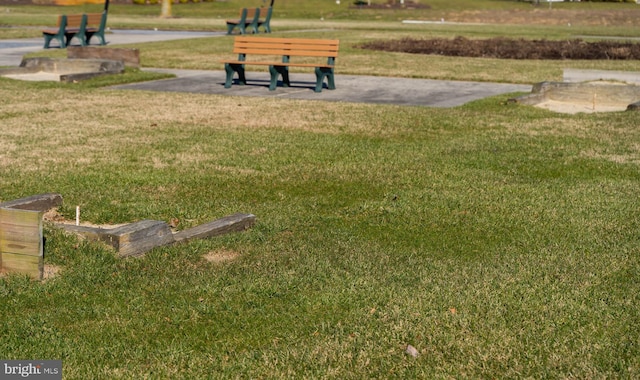 view of community featuring a lawn