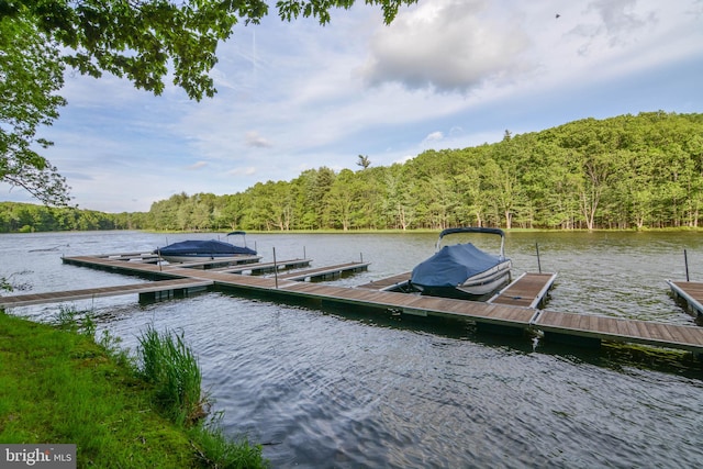 view of dock featuring a water view