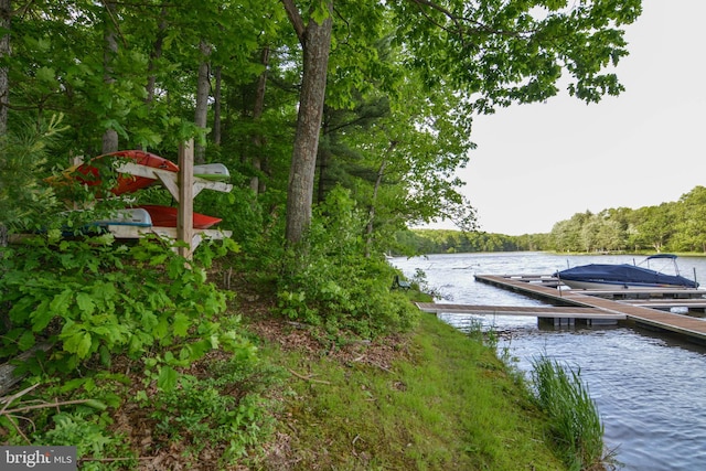 dock area with a water view