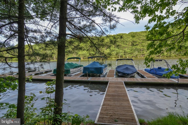 view of dock with a water view