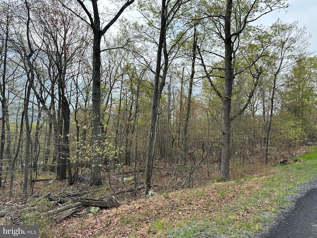 LOT232 Inca Trl, Winchester VA, 22602 land for sale