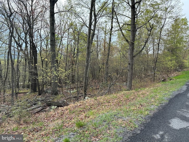 Listing photo 2 for LOT232 Inca Trl, Winchester VA 22602