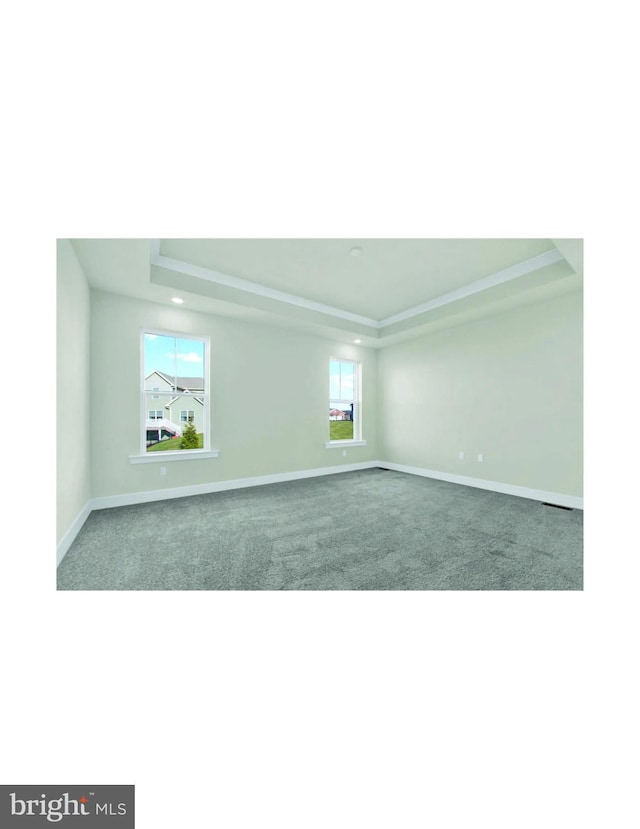 spare room featuring dark carpet and a tray ceiling