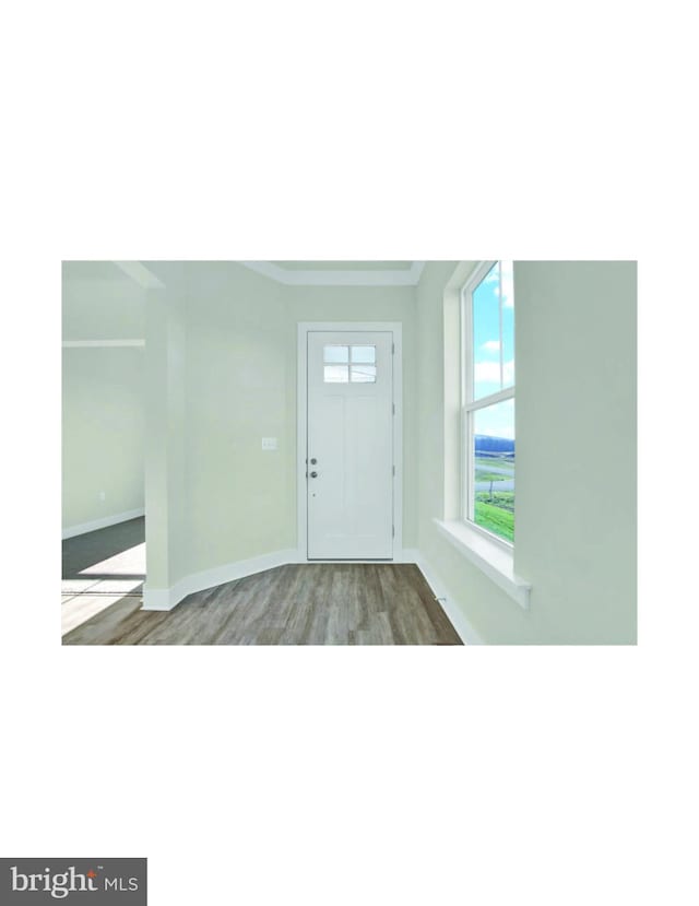 foyer entrance featuring dark wood-type flooring