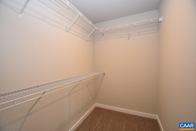 spacious closet with carpet