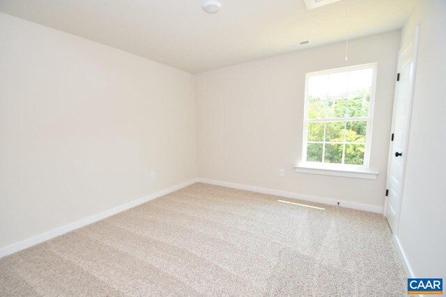 empty room featuring carpet