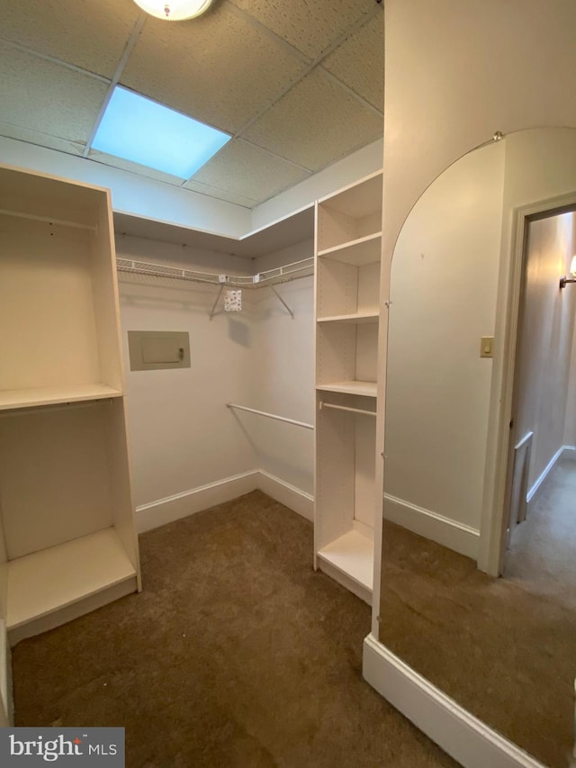 spacious closet with a paneled ceiling