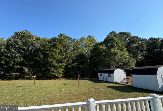 view of yard with a storage shed