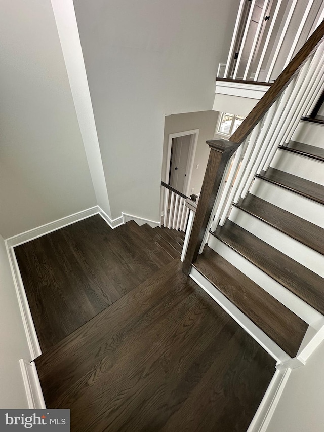 staircase featuring hardwood / wood-style floors