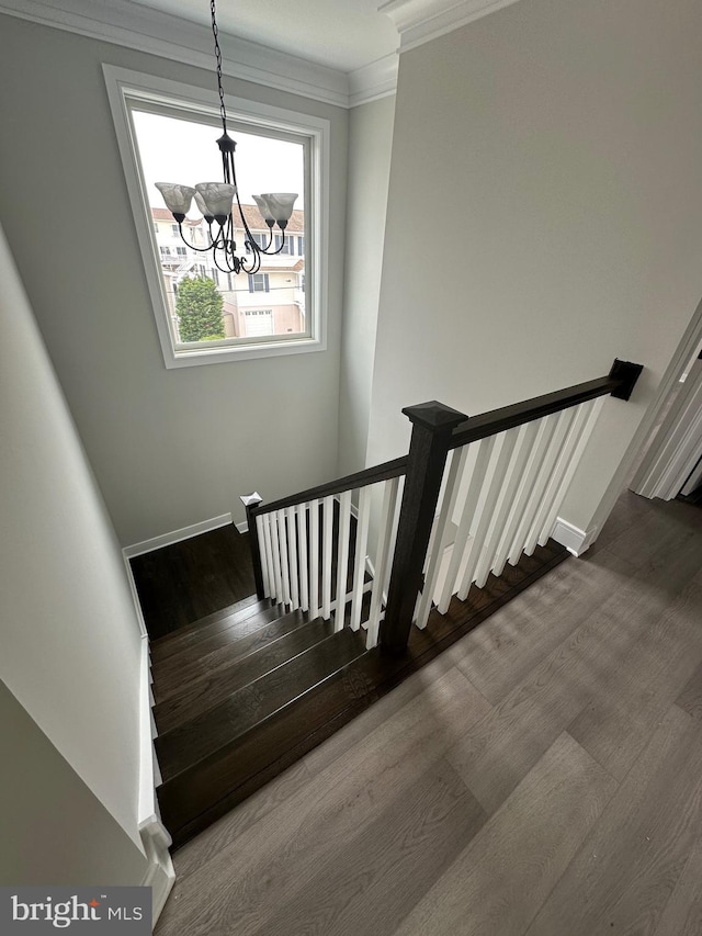 staircase with wood-type flooring, ornamental molding, and an inviting chandelier