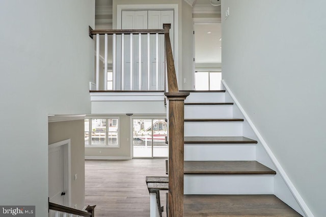 stairway with wood-type flooring