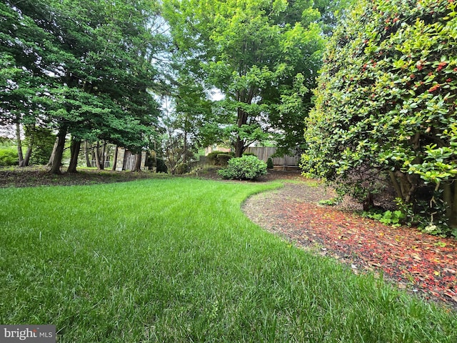 3195 Westover Dr SE, Washington, DC 20020 - view of yard
