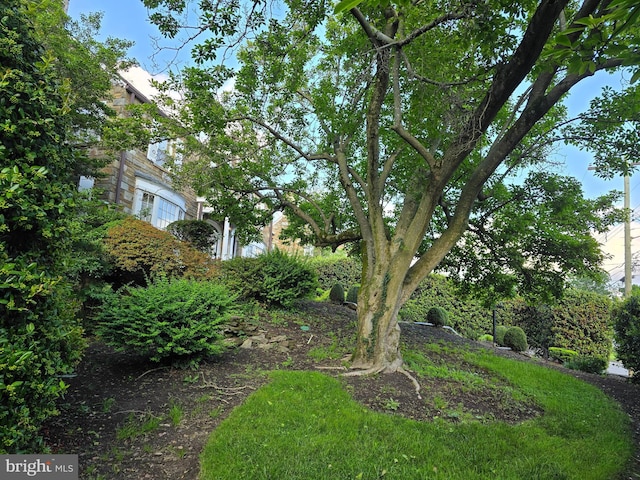 3195 Westover Dr SE, Washington, DC 20020 - view of yard