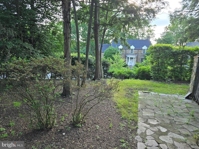 3195 Westover Dr SE, Washington, DC 20020 - view of yard