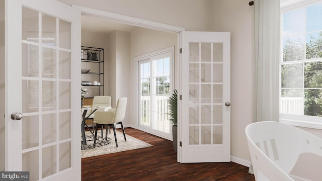 doorway with french doors, dark hardwood / wood-style floors, and a wealth of natural light