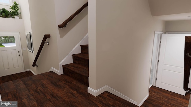 foyer with a wealth of natural light and dark wood-type flooring