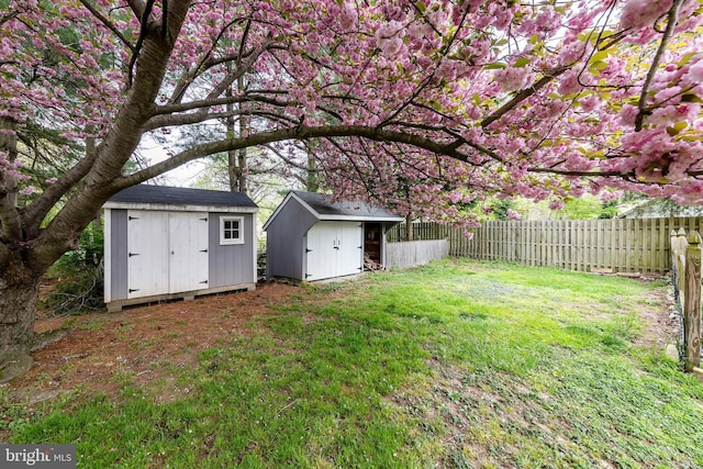 view of yard with a storage shed