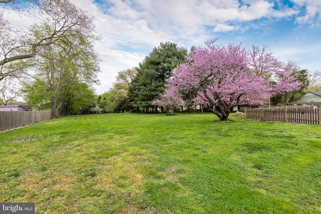 view of yard