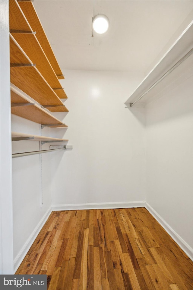 walk in closet with wood-type flooring