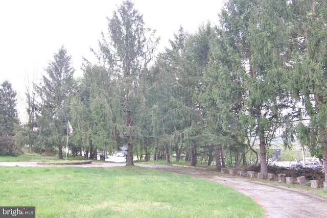 view of home's community featuring a lawn