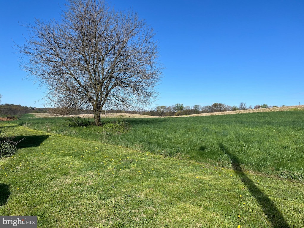 view of yard with a rural view