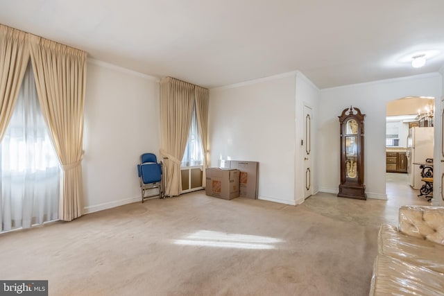 interior space featuring ornamental molding and light colored carpet