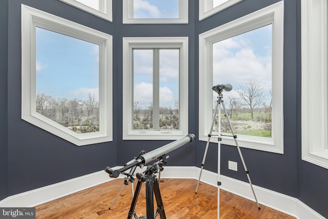 workout area featuring a healthy amount of sunlight, baseboards, and wood finished floors