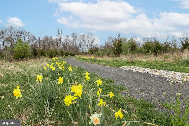 view of road