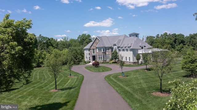 view of front of house featuring curved driveway and a front lawn