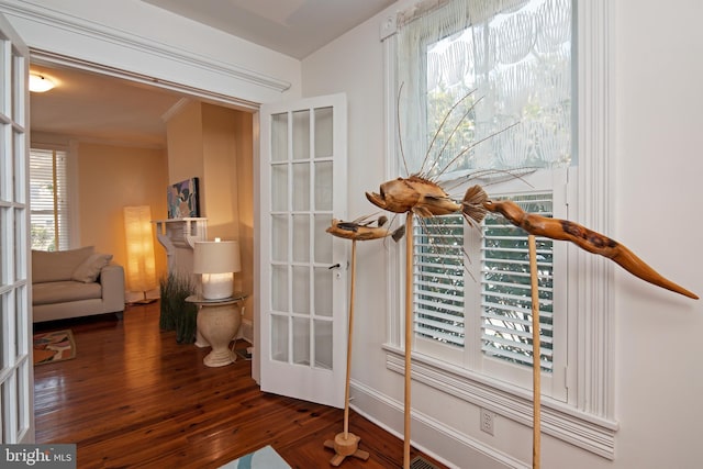 interior space with french doors, plenty of natural light, and dark hardwood / wood-style flooring