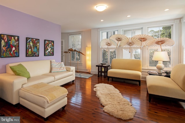 living room with dark wood-type flooring