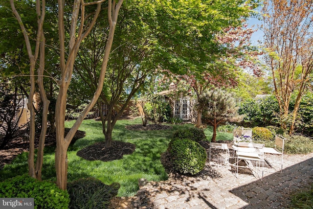 view of yard with a patio area