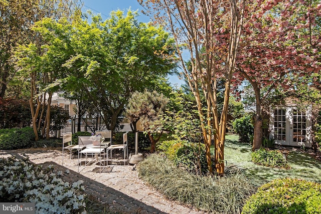 view of yard with french doors and a patio area