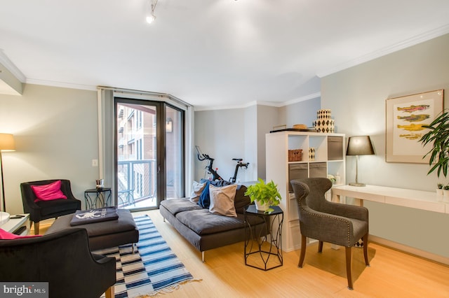 living room with ornamental molding and light wood-type flooring