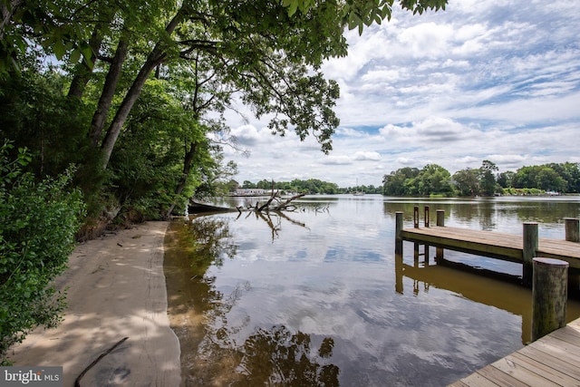 dock area with a water view