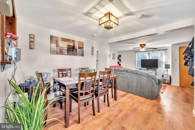 dining space with light hardwood / wood-style flooring and ceiling fan