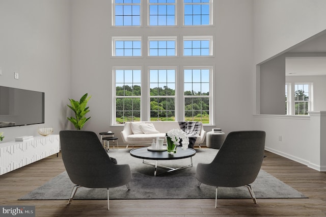 living room featuring wood-type flooring and a towering ceiling