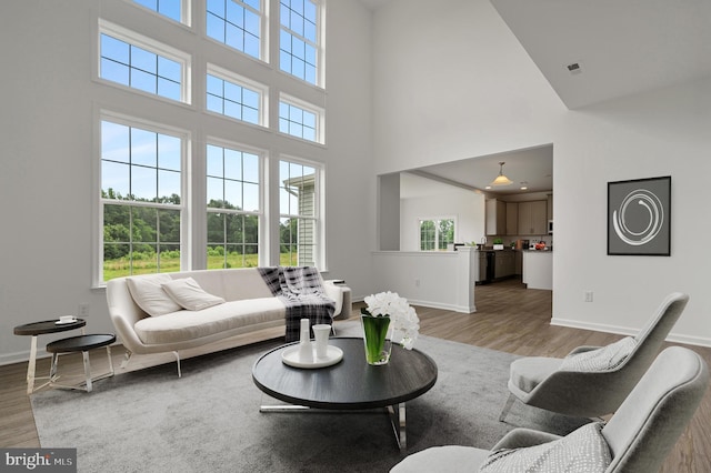 living room with a high ceiling, hardwood / wood-style flooring, and plenty of natural light