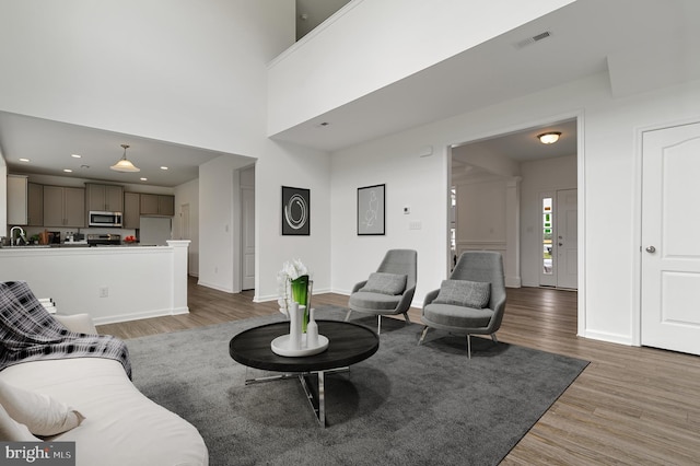 living room featuring hardwood / wood-style flooring and sink